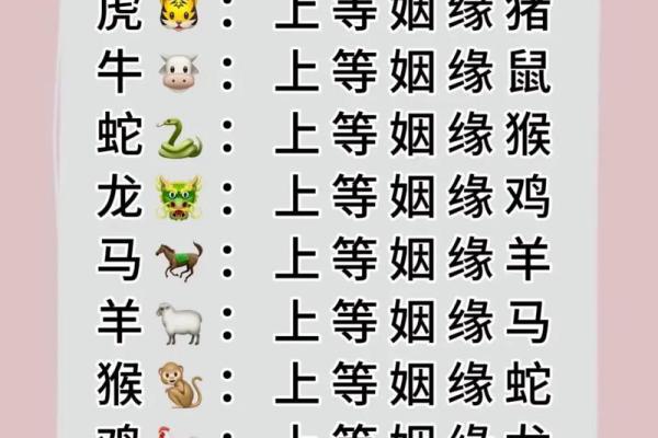 十二属相生肖配对姻缘查询