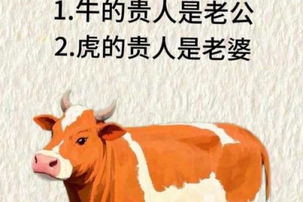 属牛的狮子座和属蛇的双子座配对吗