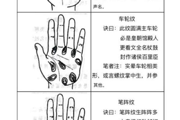《手相学习百科》：手的轮廓特征