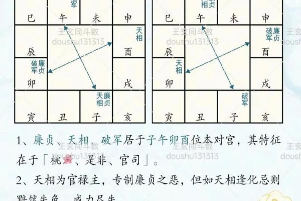 紫薇斗数看有没有孩子