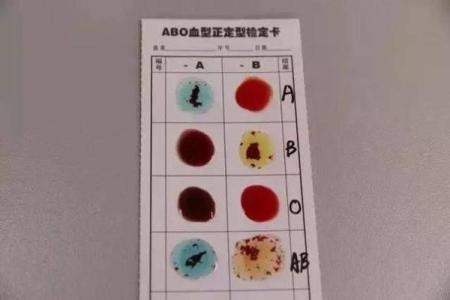 智商排行榜的4大血型有哪些呢