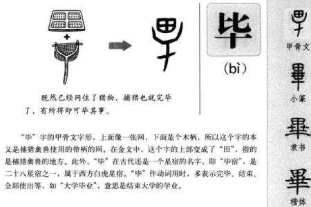 八字星宿毕宿解析，包括基本性格、行业、情感等方面的分析
