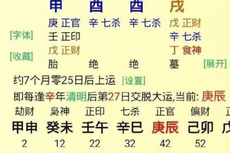 八字辛巳是浪子命格吗