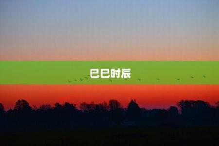 八字巳时