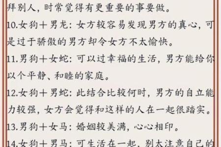 鼠狗生肖配对姻缘合适吗 鼠狗婚配的婚姻如何？