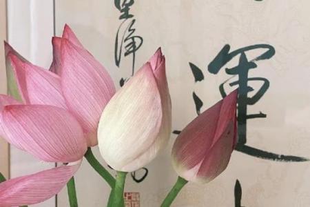 八字水为财