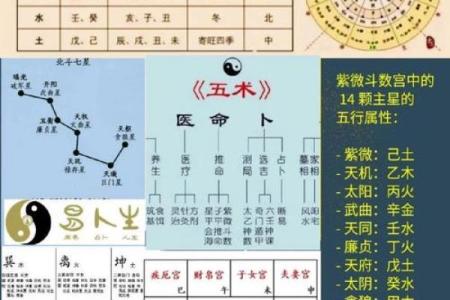 《紫微斗数》丙级星星曜组合特性