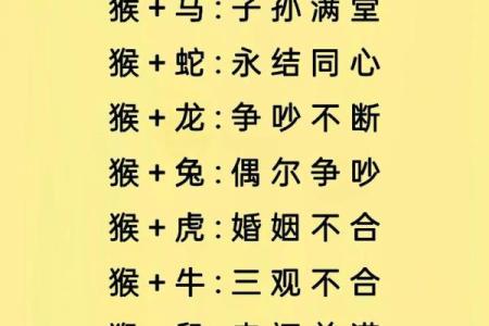十二属相生肖配对姻缘查询