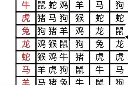 生肖配对表 兔和猪适合在一起吗