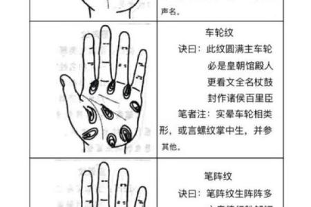 《手相学习百科》：手的轮廓特征