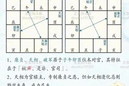 紫薇斗数看有没有孩子