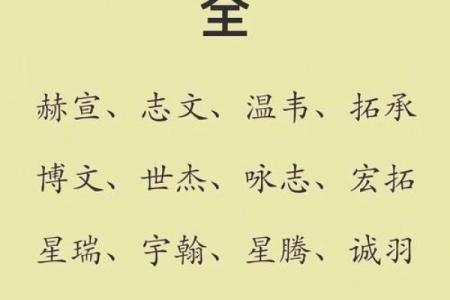 2019年3月29号午时出生的男孩要怎么起名字姓名