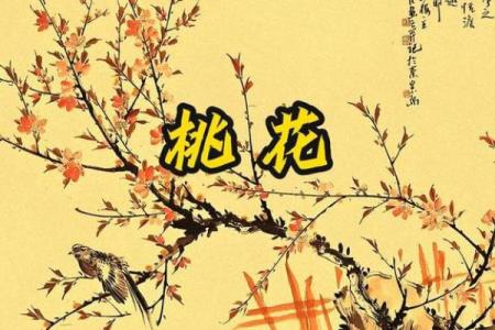 八字中什么桃花魅力最大呢