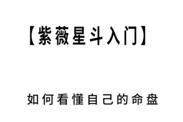 紫薇命盘免费算命
