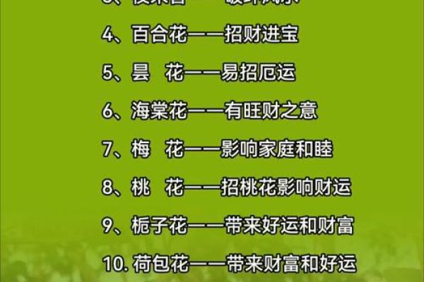 室内房间里养花须知的风水禁忌