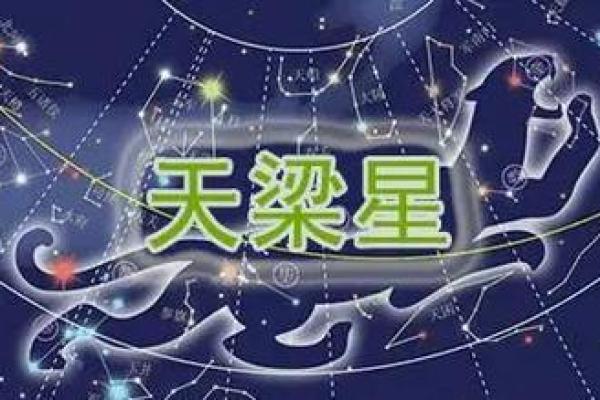 善良的紫薇斗数