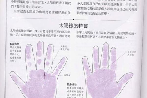 《手相学习百科》：掌脊纹