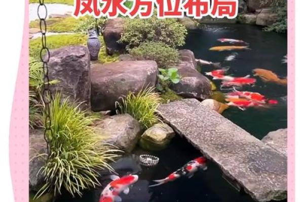 二楼养鱼风水