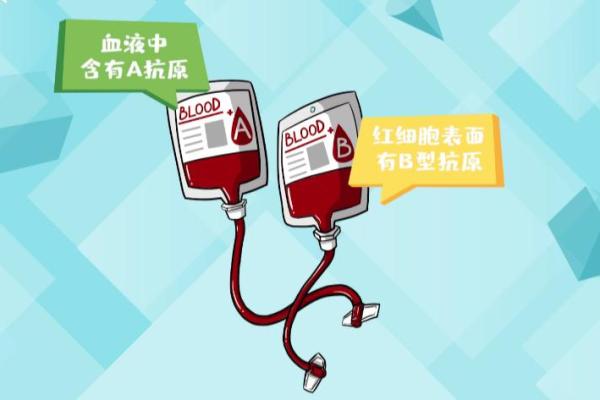 血型在生活扮演的角色