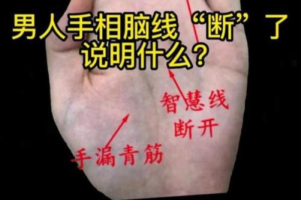 《手相学习百科》：智慧线