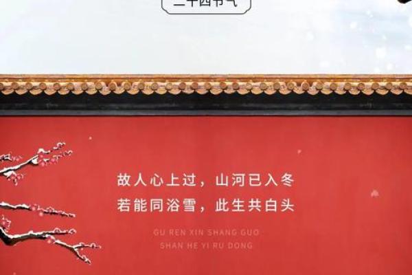 小雪节日 小雪节日吃什么