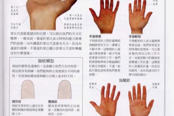 《手相学习百科》：指纹