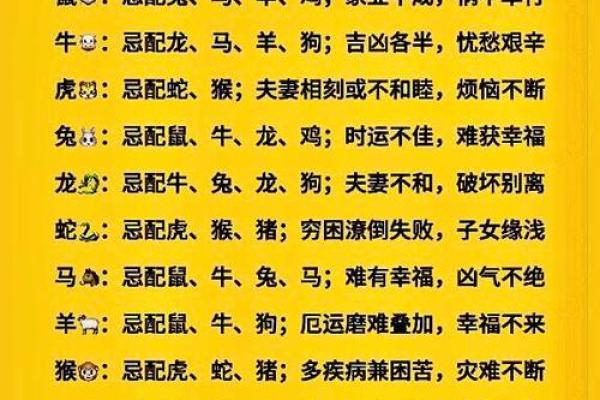 父母与子女属相配对