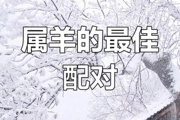 生肖羊的姓名配对大全 羊生肖配对婚姻配对？