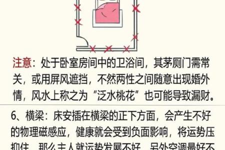 儿童卧室摆放植物风水宜忌