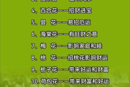 室内房间里养花须知的风水禁忌