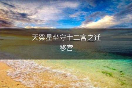 善良的紫薇斗数