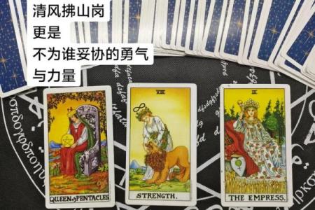塔罗测试：你自主创业成功的几率有多大？