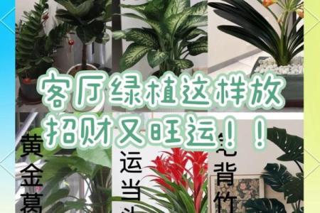 客厅照片墙摆放的风水讲究