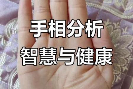 《手相学习百科》：智慧线