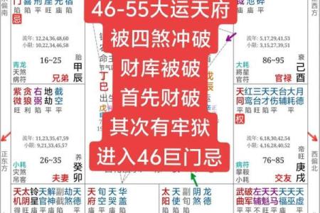 四库全书有紫薇斗数么