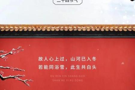 小雪节日 小雪节日吃什么
