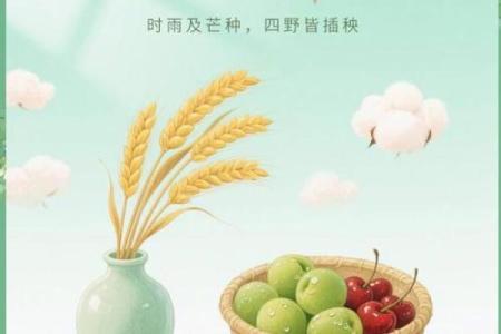 芒种节气的民俗活动 芒种节气小知识
