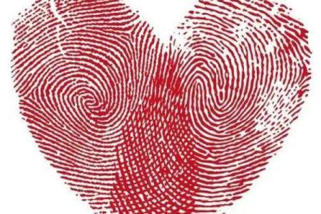 《手相学习百科》：指纹