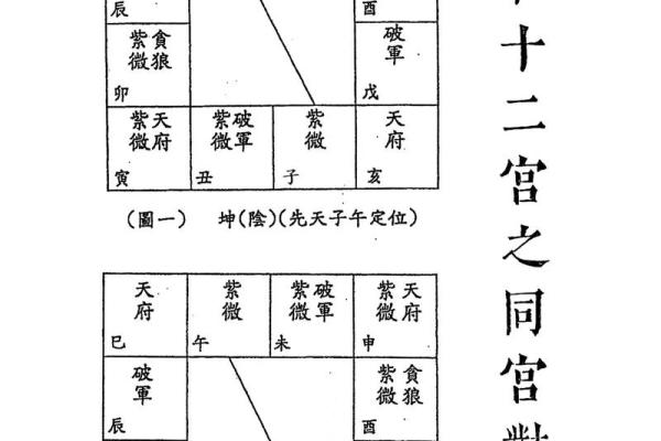 紫薇斗数要学多久