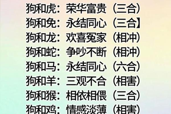 12生肖男女最佳配对 哪些生肖男女最适合搭配成为最佳配对
