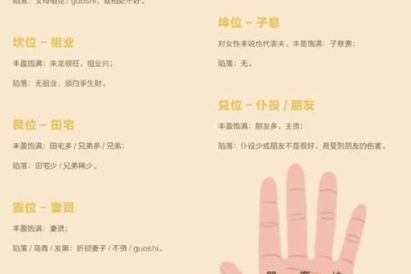 《手相学习百科》：拇指