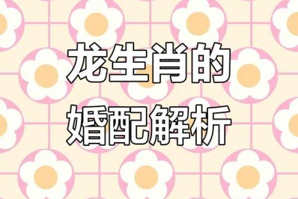 属龙的女人和什么属相最配对 属龙的女人和什么属相最配婚姻