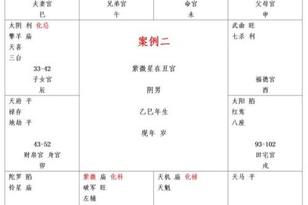 紫薇斗数看运势
