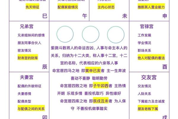 紫薇斗数看运势