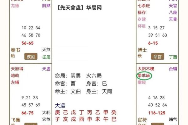 紫薇斗数官方网