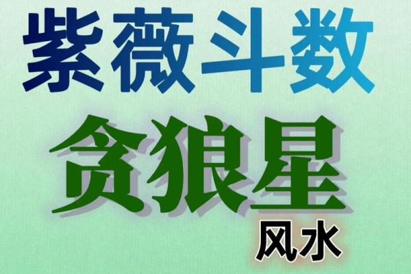 紫薇斗数中华之一神府