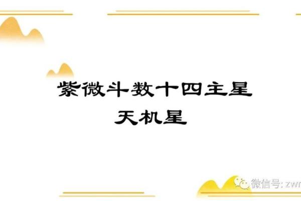 紫微斗数：天机星