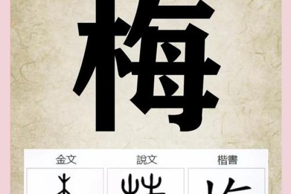 梅姓男孩名字大全-梅姓男孩起名字大全-梅姓名字大全姓名