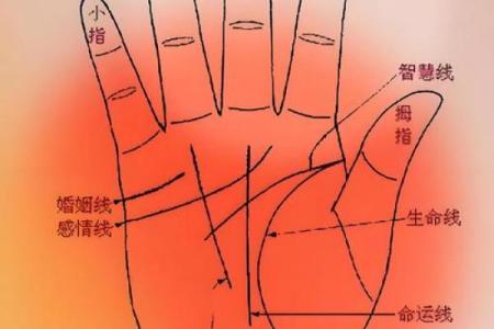 《手相学习百科》：拇指