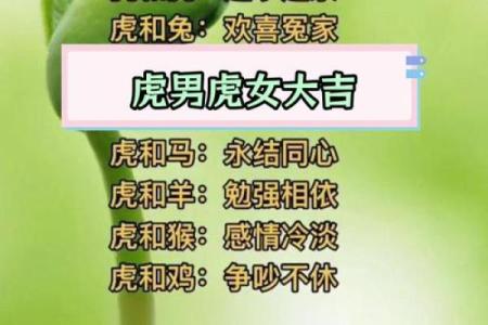 生肖配对-虎和龙的性格特点和最佳组合